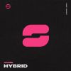 Download track Hybrid