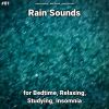 Download track Rain Sounds To Relax Your Soul