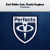 Download track Precious (Original Mix)