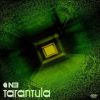 Download track Tarantula