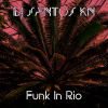 Download track Funk In Rio (Slowed + Reverb Tik-Tok Remix)