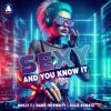 Download track Sexy And You Know It (Block & Crown & Mike Ferullo Dub Mix)