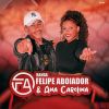 Download track Por Amor E Vocação