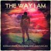 Download track The Way I Am (Instrumental Charlie Puth Cover Mix)