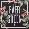 Download track Evergreen (Thomas Blondet's Dub Remix)