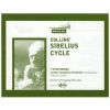 Download track Pelleas And Melisande Suite Op. 46 - Melisande And The Spinning Wheel
