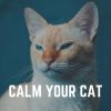 Download track Kitty Cat Dreams Calming Ambient Music For Your Cat, Pt. 8