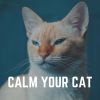 Download track Kitty Cat Dreams Calming Ambient Music For Your Cat, Pt. 13