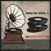 Download track Analog Afro