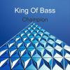 Download track Bass Asylum (Drum N Bass Master)