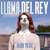 Download track Born To Die (Lana Del Rey Cover)