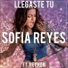 Download track Llegaste Tú (Reykon)