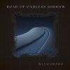 Download track Road Of Endless Sorrow