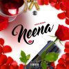 Download track Lil Neena