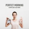 Download track Perfect Morning Alarm Clock