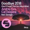 Download track Goodbye 2018 (Don't Forget That You Were Mine)