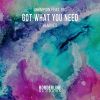 Download track Got What You Need (DLE Remix)