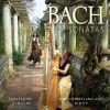 Download track Sonata No. 1 For Violin And Keyboard In B Minor, BWV 1014 IV. Allegro