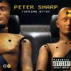 Download track Peter Sharp - Runtime Error