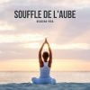 Download track Musique De Méditation