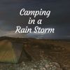 Download track Comfort Rain