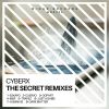 Download track Human Is (Cyberx Remix)