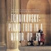 Download track Piano Trio In A Minor, Op. 50: II A. Tema Con Variazioni - Variazione 7 - Allegro Moderato