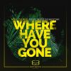 Download track Where Have You Gone (Extended Mix)