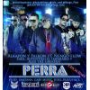 Download track Perra (Official Remix)