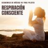 Download track Música De Relajación Para Yoga