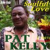 Download track Soulful Love