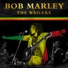 Download track Roots Rock Reggae (Live)