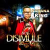 Download track No Disimule