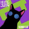 Download track Skinny Cat