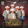 Download track Gaviota Aventurera