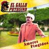 Download track Amores Fingidos