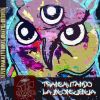 Download track Transmutando La Inconsciencia (Cierre)