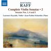 Download track Violin Sonata No. 5 In C Minor, Op. 145 I. Allegro Patetico