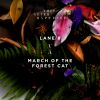 Download track March Of The Forest Cat