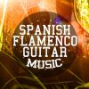 Download track Flamenco Gypsy Passion