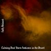 Download track Calming Dust Storm Ambience In The Desert, Pt. 8