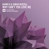 Download track Why Cant You Love Me (Original Mix)