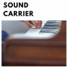 Download track Sound Carrier