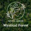 Download track Misty Forest Drips