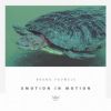 Download track Emotion In Motion (Original Mix)