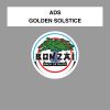 Download track Golden Solstice Wellenrausch Remix