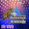 Download track Amorcito Mio (En Vivo)