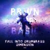 Download track Fall Into Drum & Bass Dimension