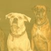 Download track Entertaining Ambience For Chill Dogs