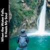 Download track Relaxing Waterfall Sounds